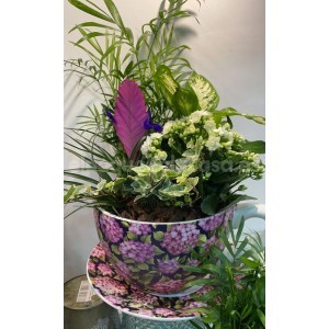 Original Taza con plantas